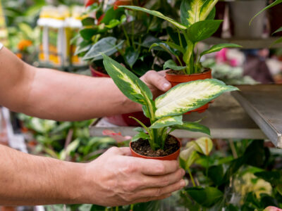 1b689acf8322f3c6286bb498fbc1413dff84d653