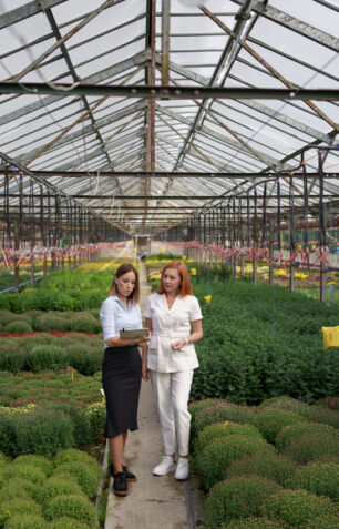 2af78cc5f9a849d43182983e5df22c020d303c6b