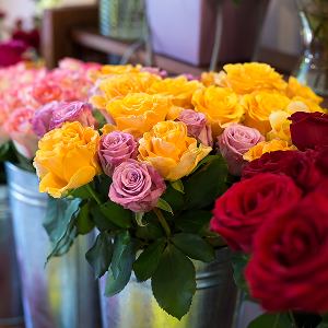 c42614c3a0576f0076539ec86636892e15f44cbe-300x300 1