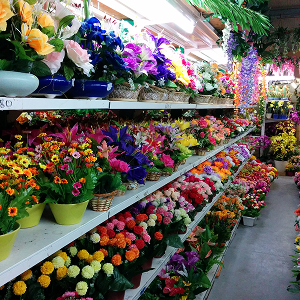 c42614c3a0576f0076539ec86636892e15f44cbe-300x300 10