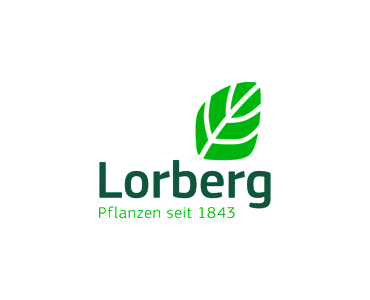 lorberg
